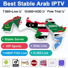 Cobra IPTV Subscription 12 Months Europe UK Arabic IPTV 4K FHD Sport Movies Hot XXX for IPTV Smarters Pro Android IOS Smart TV