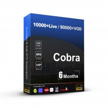 6 Months Cobra IPTV Subscription Stable Server 4K FULL HD Live Sport for Siptv IPTV M3u IPTV Smarters Pro