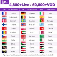 French IPTV SUBTV Code 12 Mois 3 Lines for IPTV Smarters Pro Lxtream Code Smart tv M3u Iptv Code